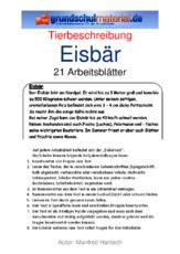 Eisbär.pdf